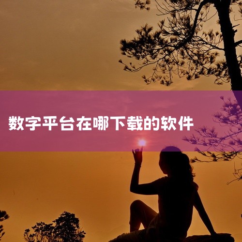 二、手机应用商店对于手机端的数字协同软件，常见的应用商店如苹果App Store和安卓的华为应用市场、小米应用商店、腾讯应用宝等是主要的下载途径。在应用商店搜索相关软件名称，就能找到对应的应用程序进行|