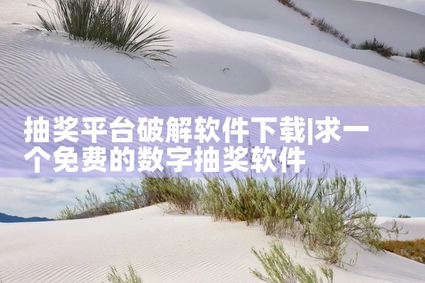 抽奖平台破解软件下载