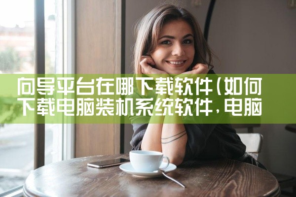 向导平台在哪下载软件