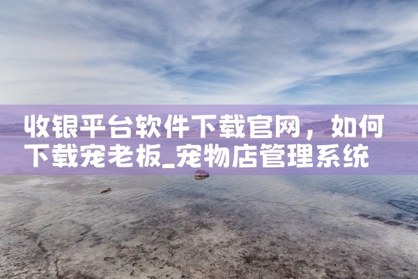 收银平台软件下载官网