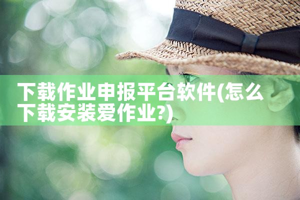 下载作业申报平台软件