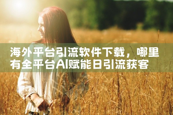 海外平台引流软件下载