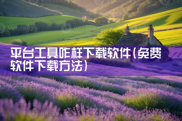 平台工具咋样下载软件