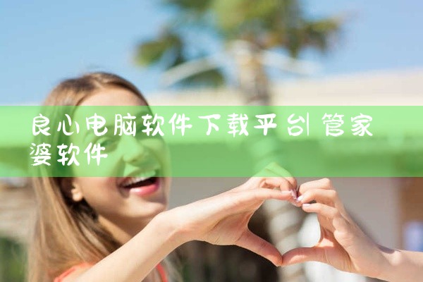 良心电脑软件下载平台