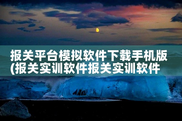 报关平台模拟软件下载手机版