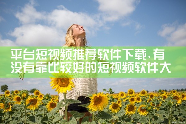 指挥平台素材视频下载软件