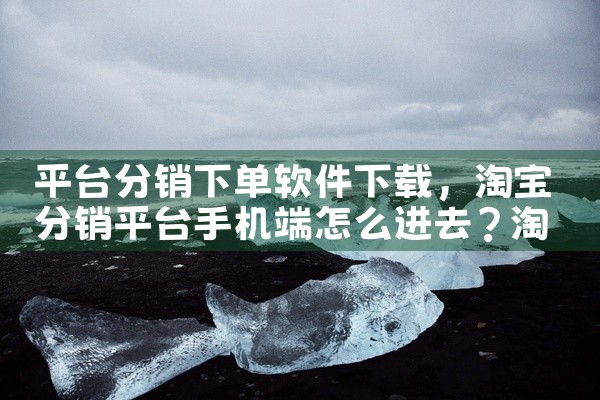 平台分销下单软件下载