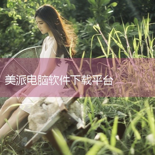 优品ppt软件下载平台