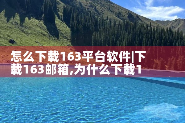 怎么下载163平台软件