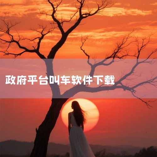 国漫平台分析软件下载