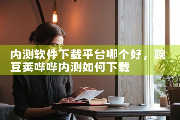 内测软件下载平台哪个好